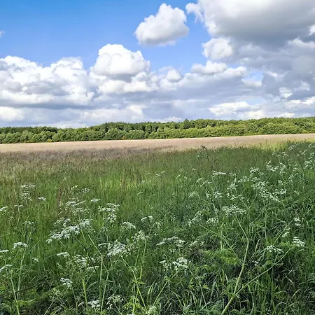 Chalet Trollstua By Interhome *