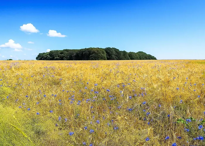 Trollstua By Interhome Chalet Großenkneten